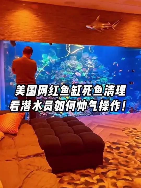 美国网红鱼缸死鱼清理，看潜水员如何帅气操作！