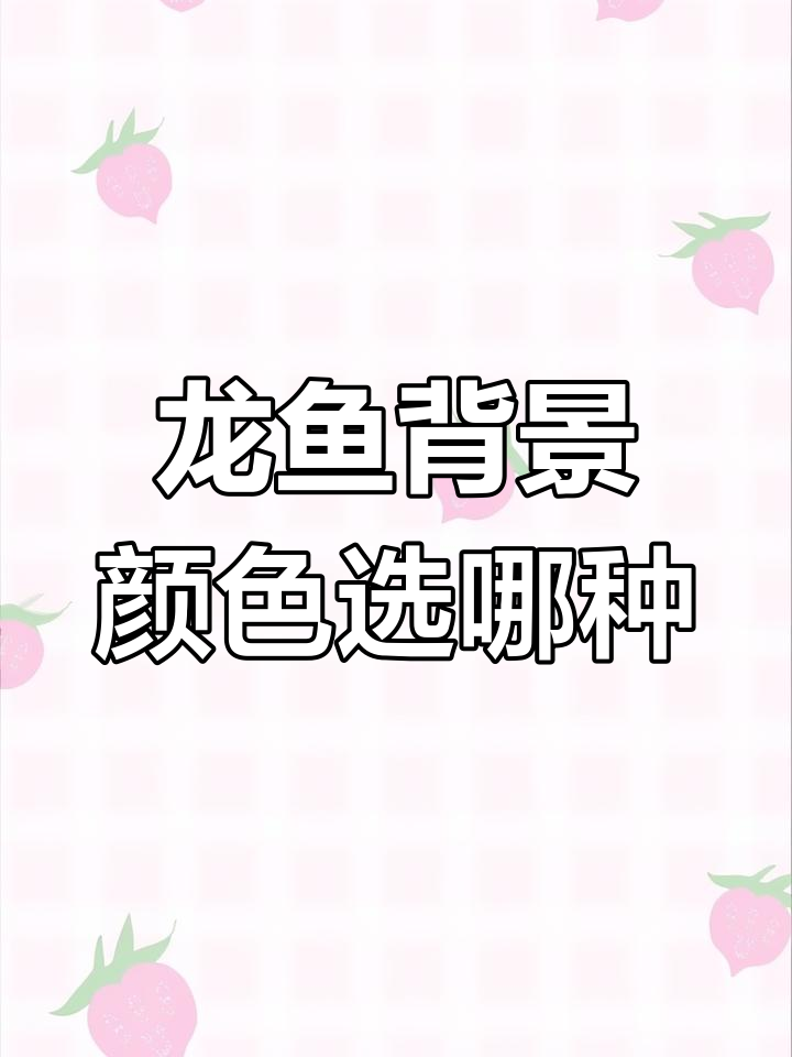 金龙鱼缸背景如何选择?白色、蓝色还是黑色最合适