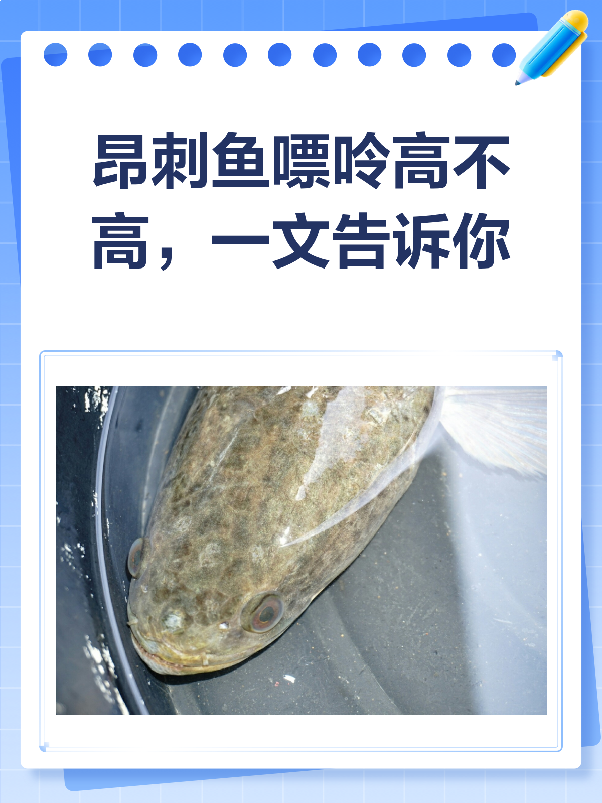 昂刺鱼嘌呤高不高?看完这篇就懂了!