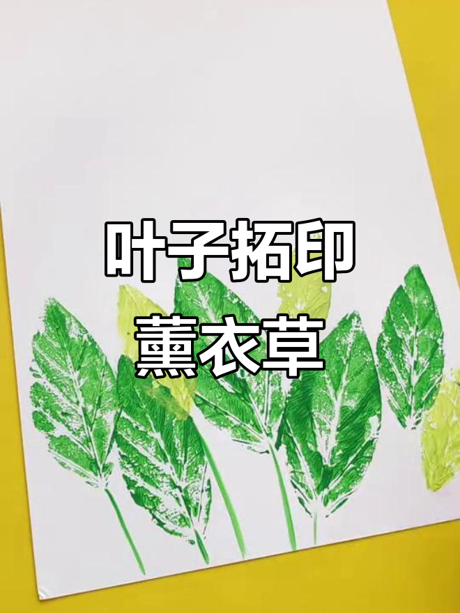 叶子拓印薰衣草,创意儿童水粉画展示