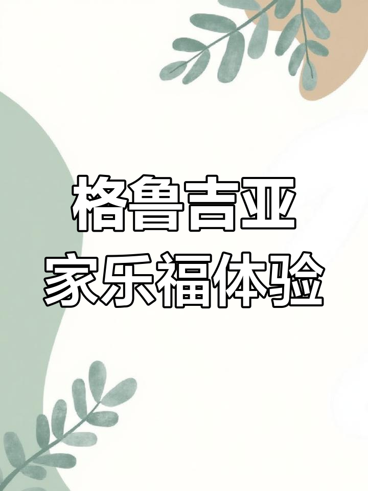探访格鲁吉亚家乐福,物价如何?
