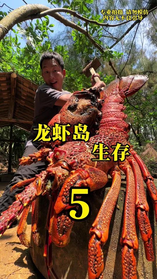 龙虾岛生存 龙虾岛生存5,超大龙虾打窝,潜水获取食物