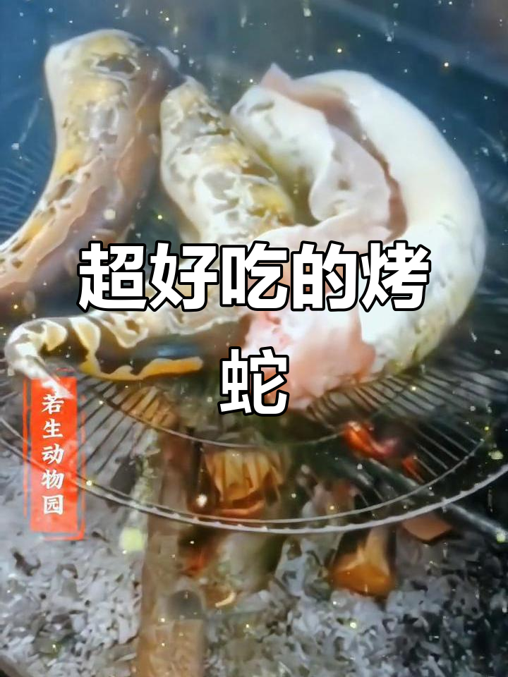 蛇肉烧烤,味道超赞!约起吃烤蛇