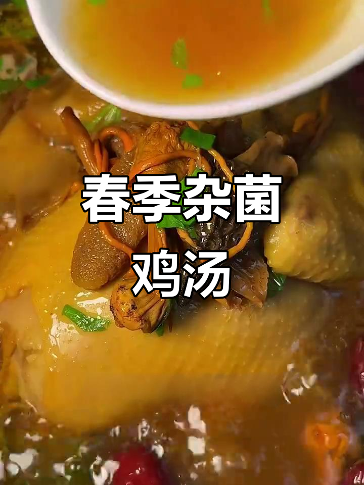 春日滋补杂菌鸡汤，炖出鲜香醇厚汤汁