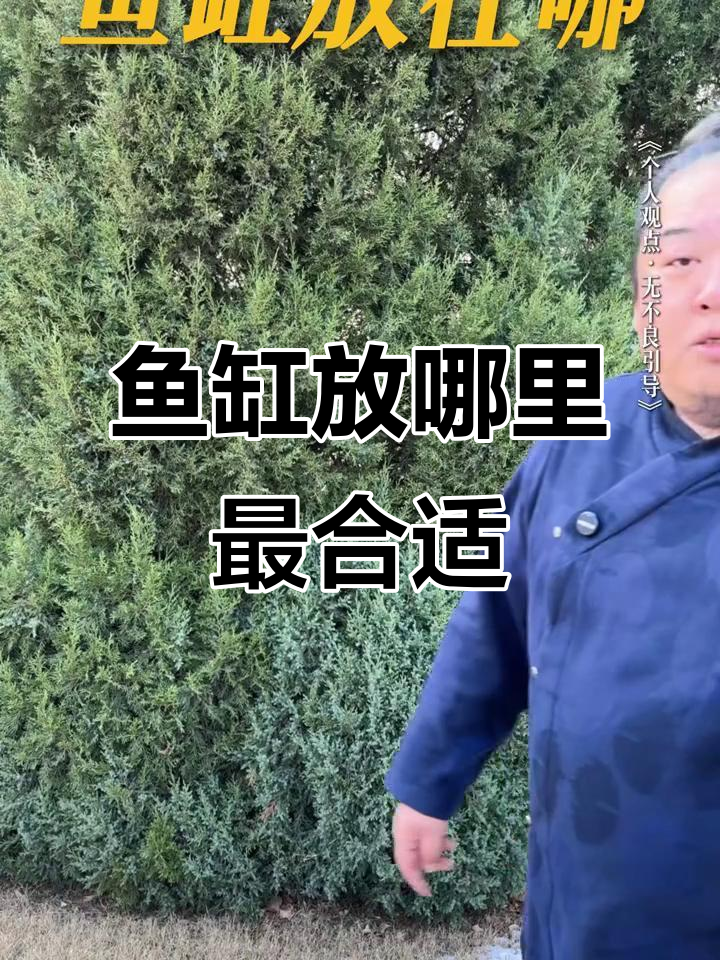 鱼缸摆放的最佳位置,避开这些误区让生态更和谐