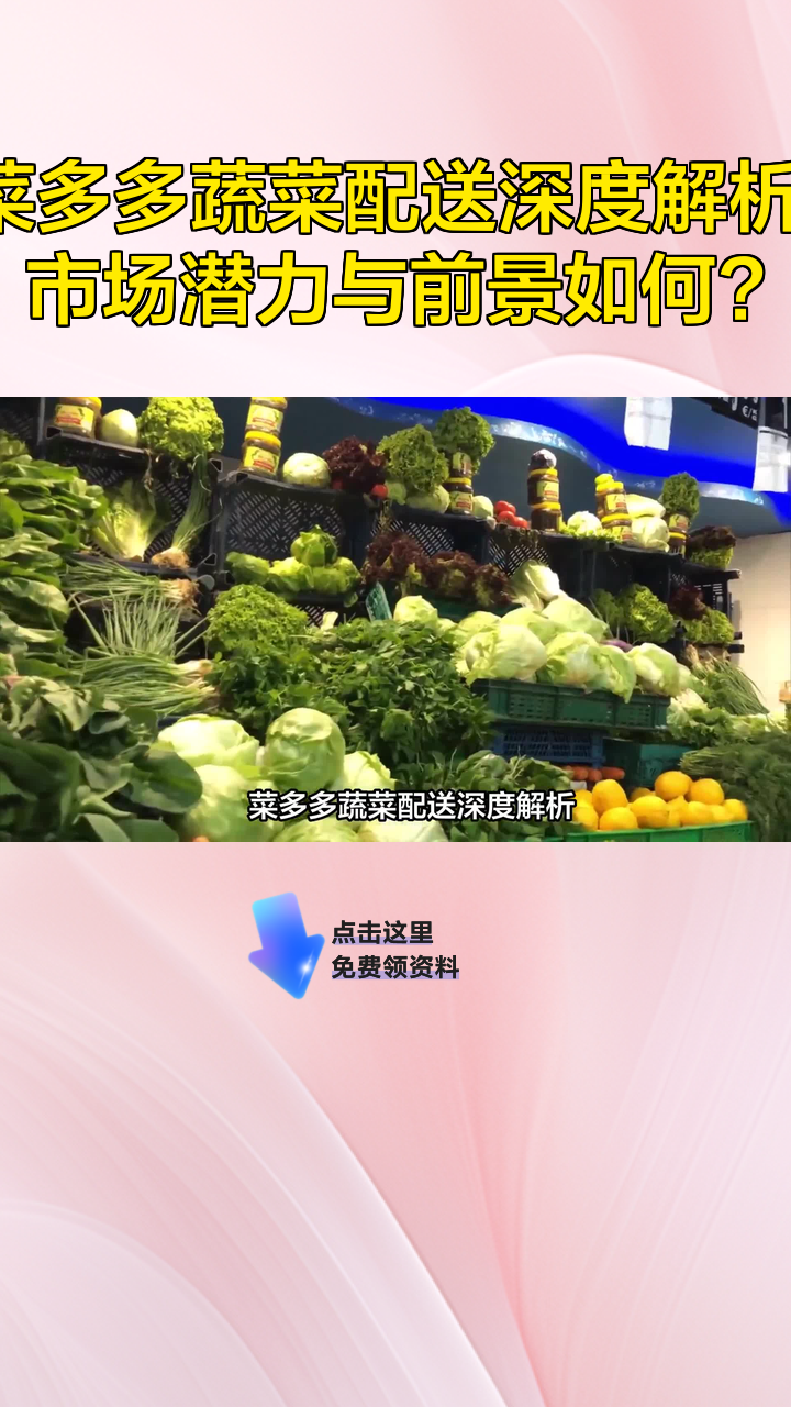 菜多多蔬菜配送深度解析:市场潜力与前景如何?