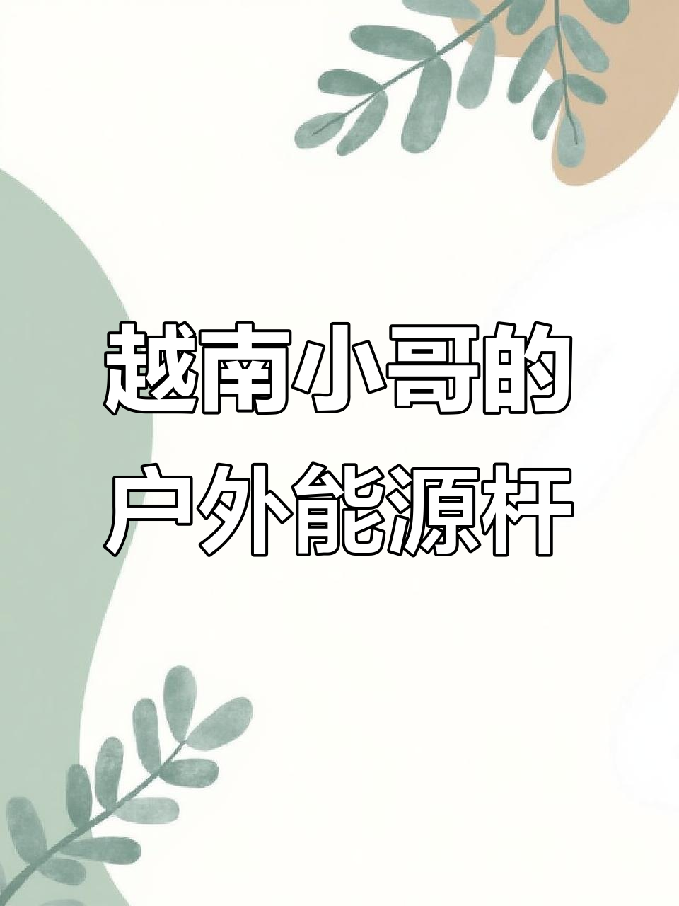 越南小哥户外新能源一体杆,安全又有趣