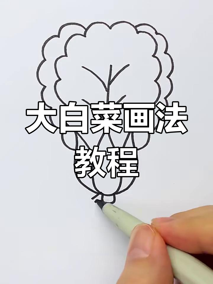 轻松画出可爱大白菜,简单又有趣!