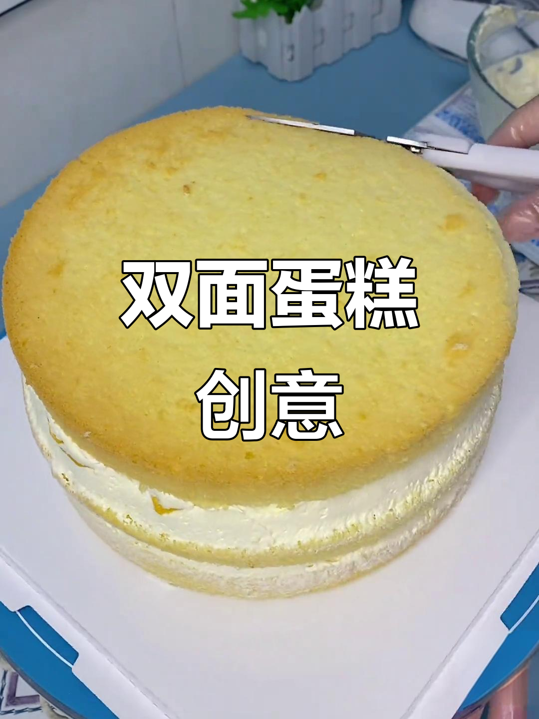 龙凤胎生日同天，双面蛋糕超有趣！