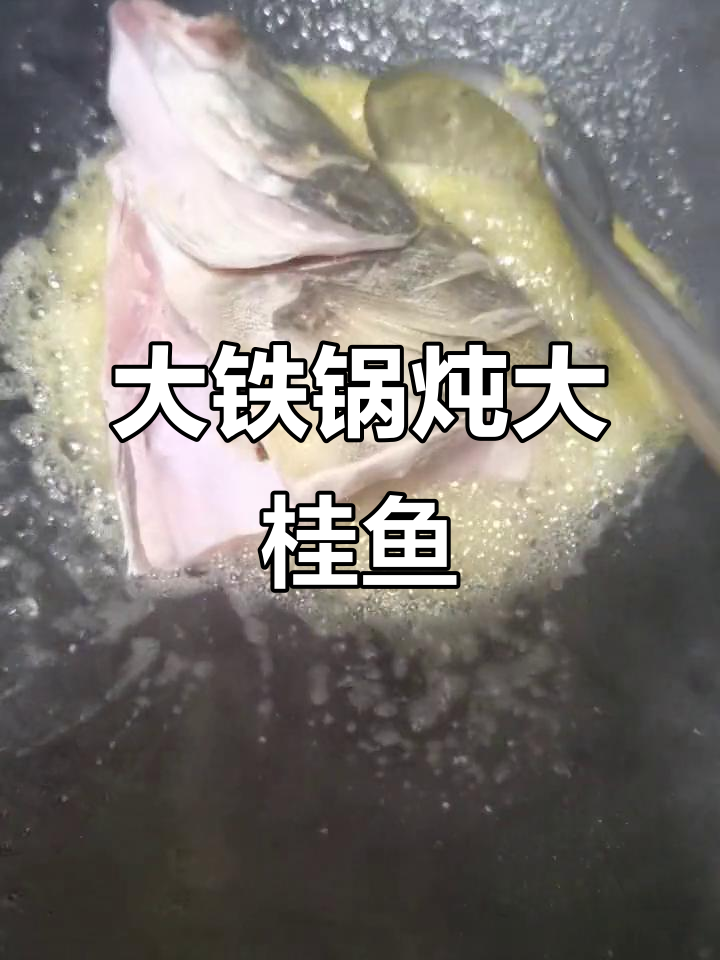 尺八大铁锅炖野生大桂鱼,鲜美无比!
