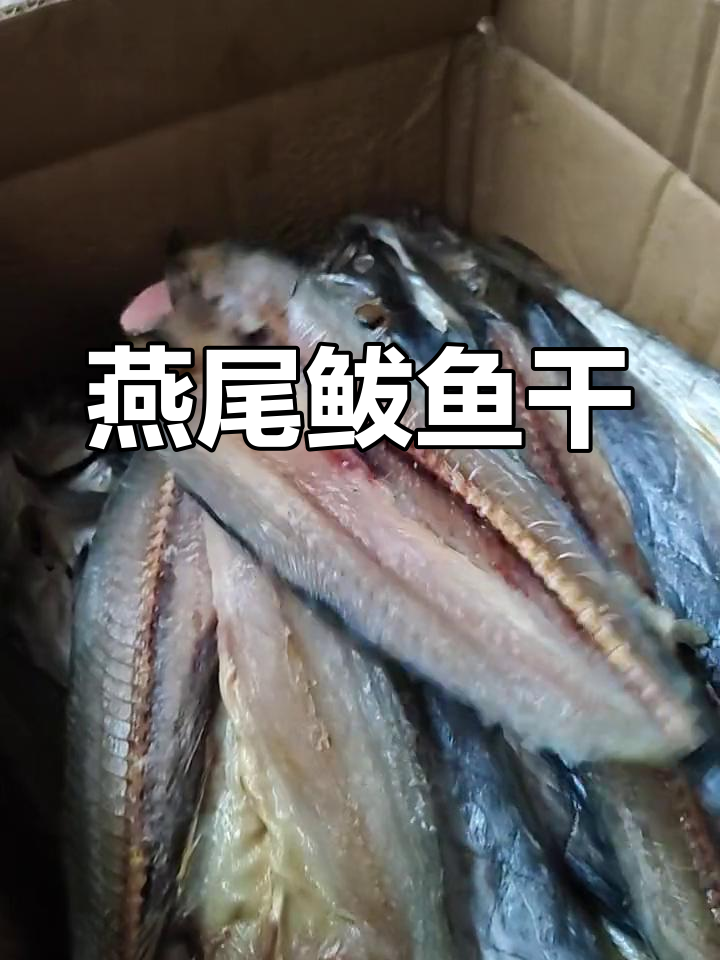 渤海湾燕尾鲅鱼干,醋煎美味下饭