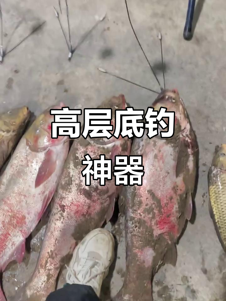 底层鱼到高层一网打尽,可视锚钩实战效果惊人