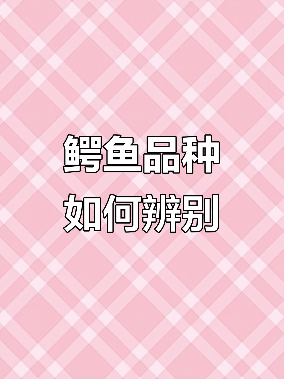 如何区分鳄鱼品种与种类?从纹路到气孔全解析