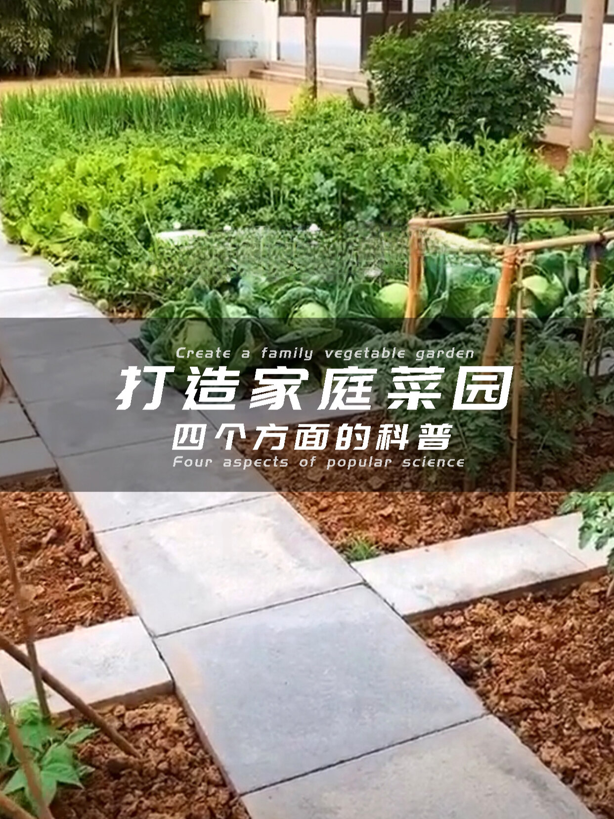 万能的菜园做法分享