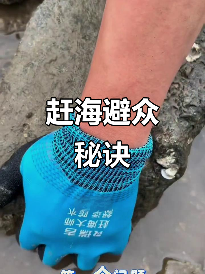 鲅鱼圈赶海秘籍,避开人群,收获满满!