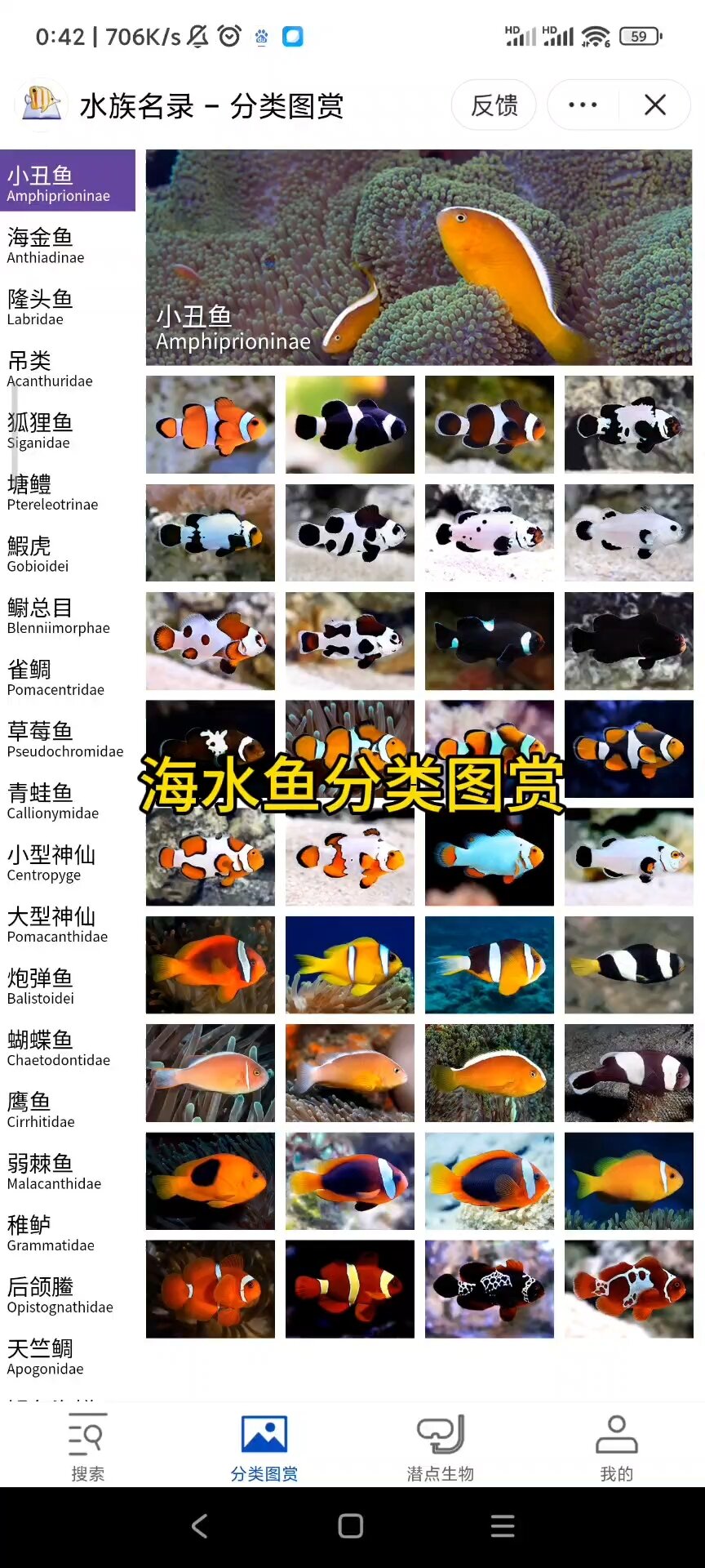 海水鱼图鉴分类图赏已经放在视频左下角了只能去抖音小程序里面看