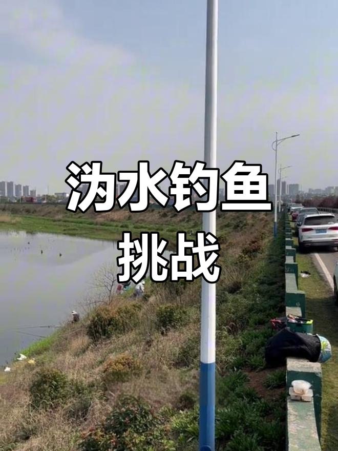 长沙渭水钓愣子鱼,高温下小杂鱼疯狂抢食