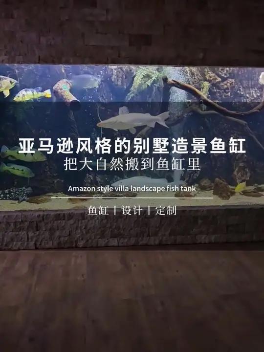 看到这个亚马逊风格的别墅鱼缸,你有没有心动的感觉?别墅鱼缸 鱼缸定制 南美缸 大型鱼缸定制