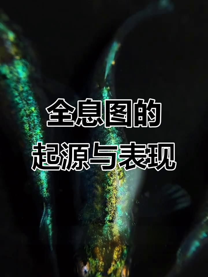 冠军血统全息图揭秘:从冤中渔场到山西汉界杯的传奇