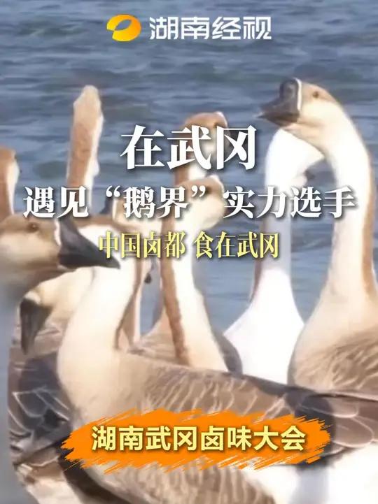 在武冈遇见“鹅界”的实力选手——伟业铜鹅