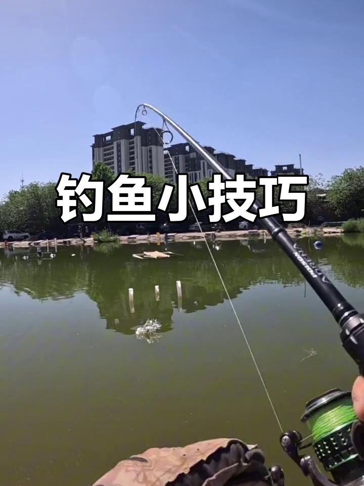 小嘴鲈鱼钓法大揭秘,长疾虫饵效果惊人