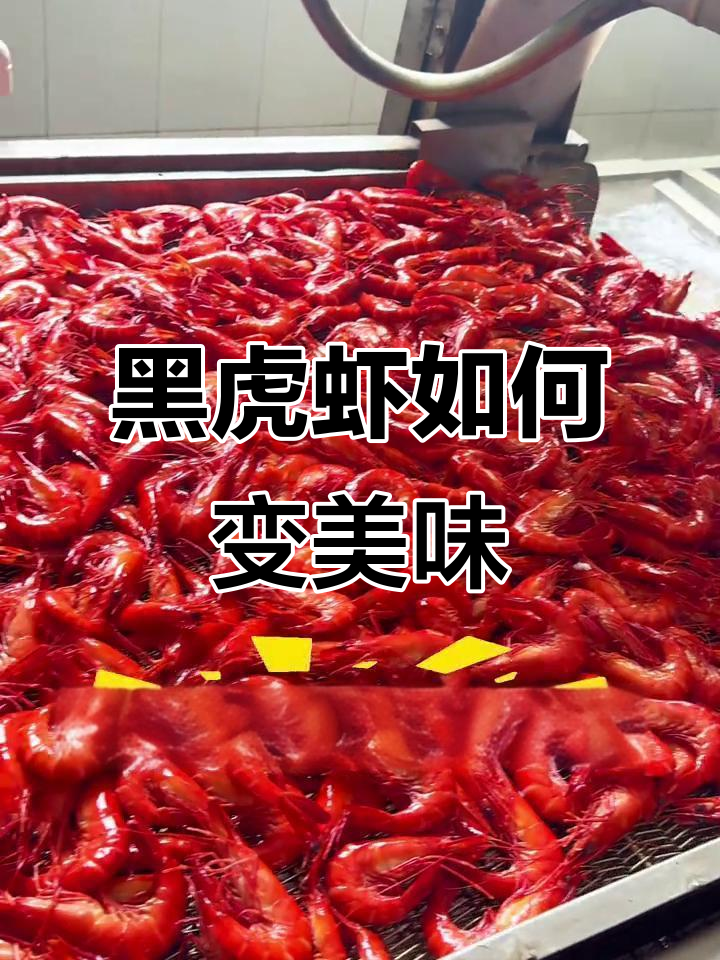 熟冻虾真的是死虾？揭秘黑虎虾的加工过程