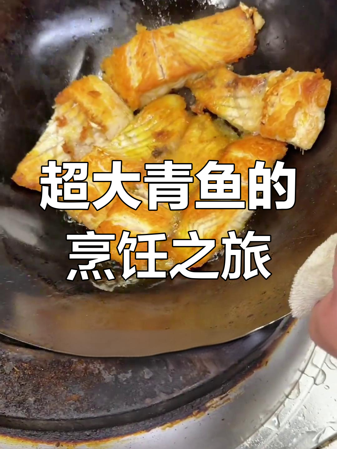 四天等待,超大青鱼终于到手!做几道美味家常菜
