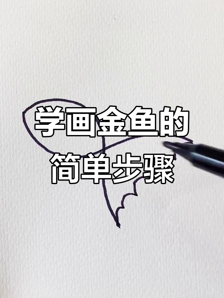 金鱼画法大揭秘,轻松画出可爱小金鱼