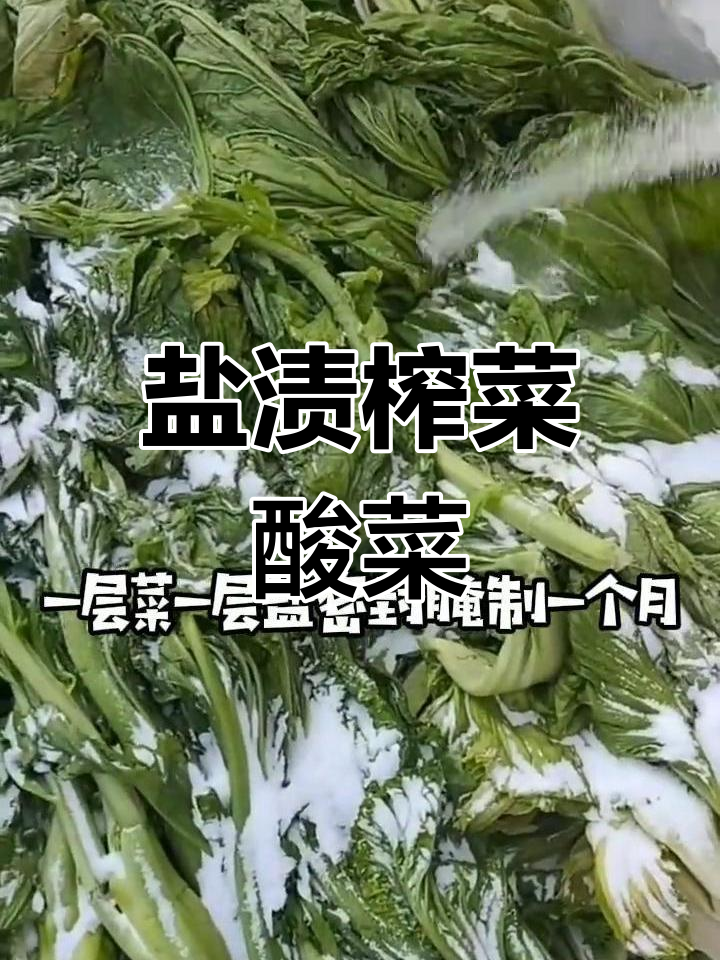 只需盐,轻松做出美味榨菜酸菜