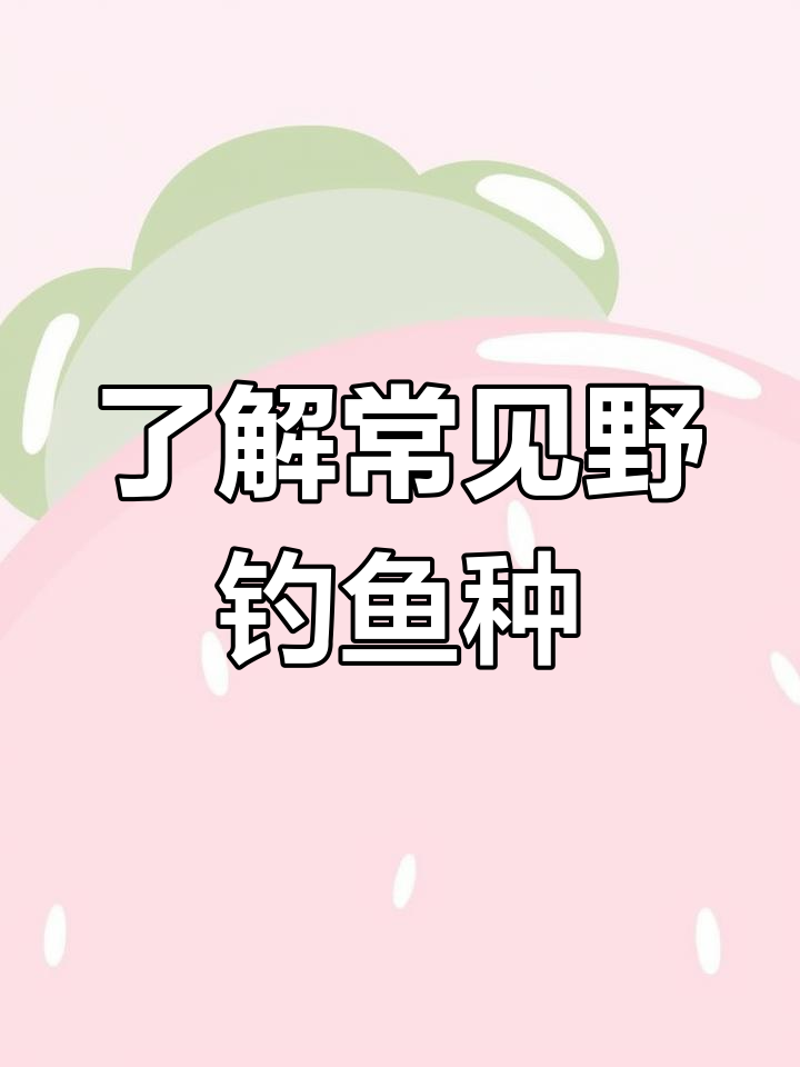 三角鲫与须臾术:野生钓法揭秘