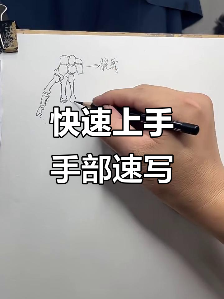 手部骨骼与关节解剖,轻松掌握手指比例