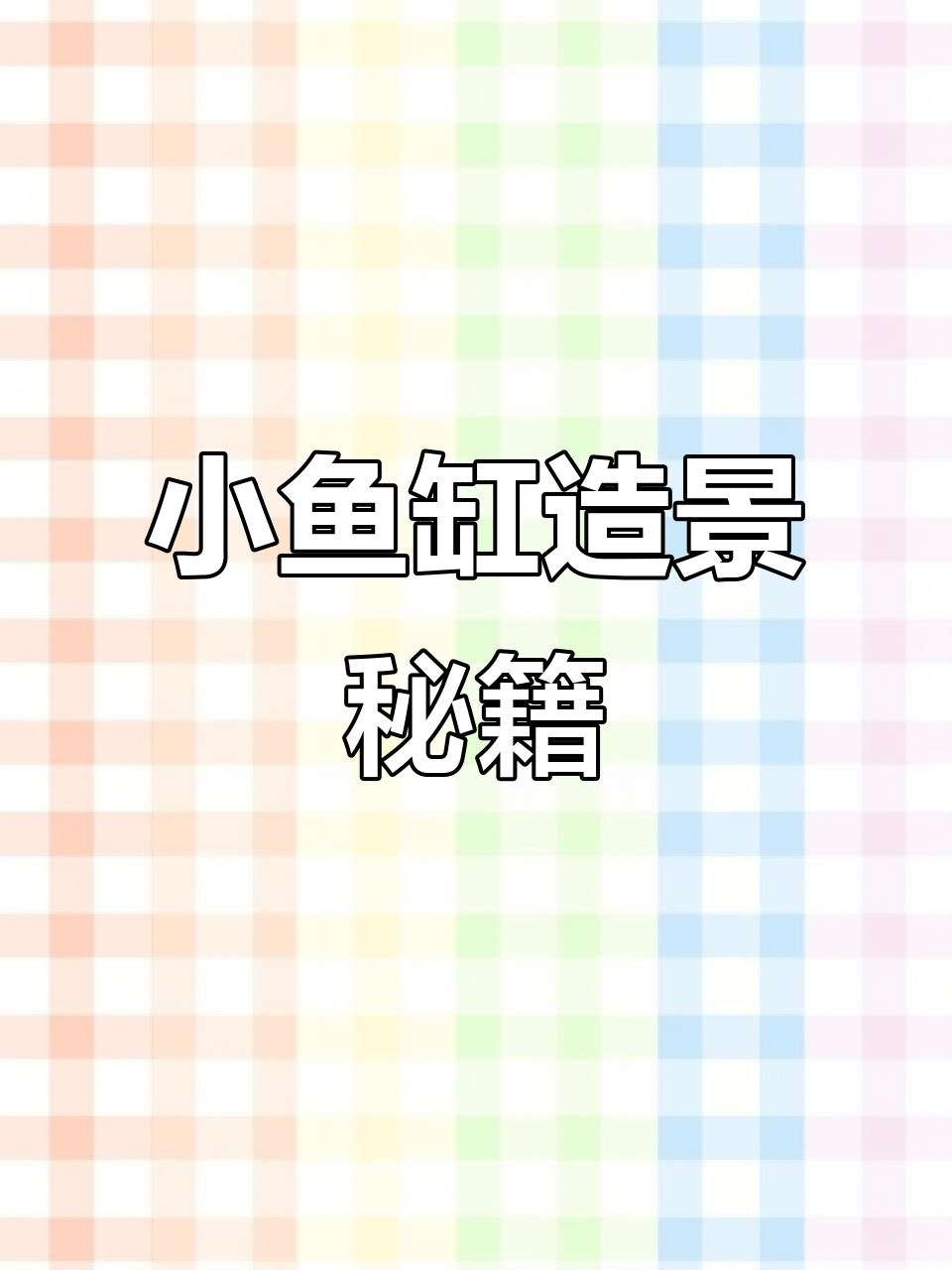 轻松打造桌面小鱼缸，黑莲灯也能养！