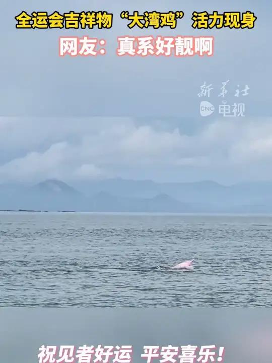 全运会吉祥物“大湾鸡”活力现身 网友:真系好靓啊
