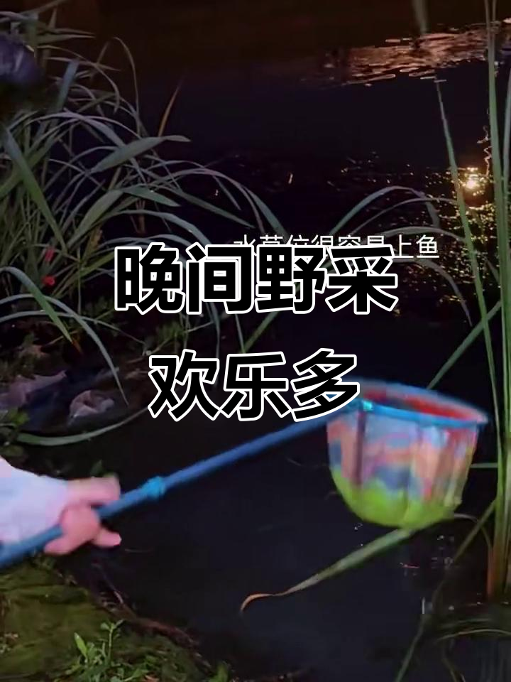 夜晚抓鱼摸虾,享受自然乐趣