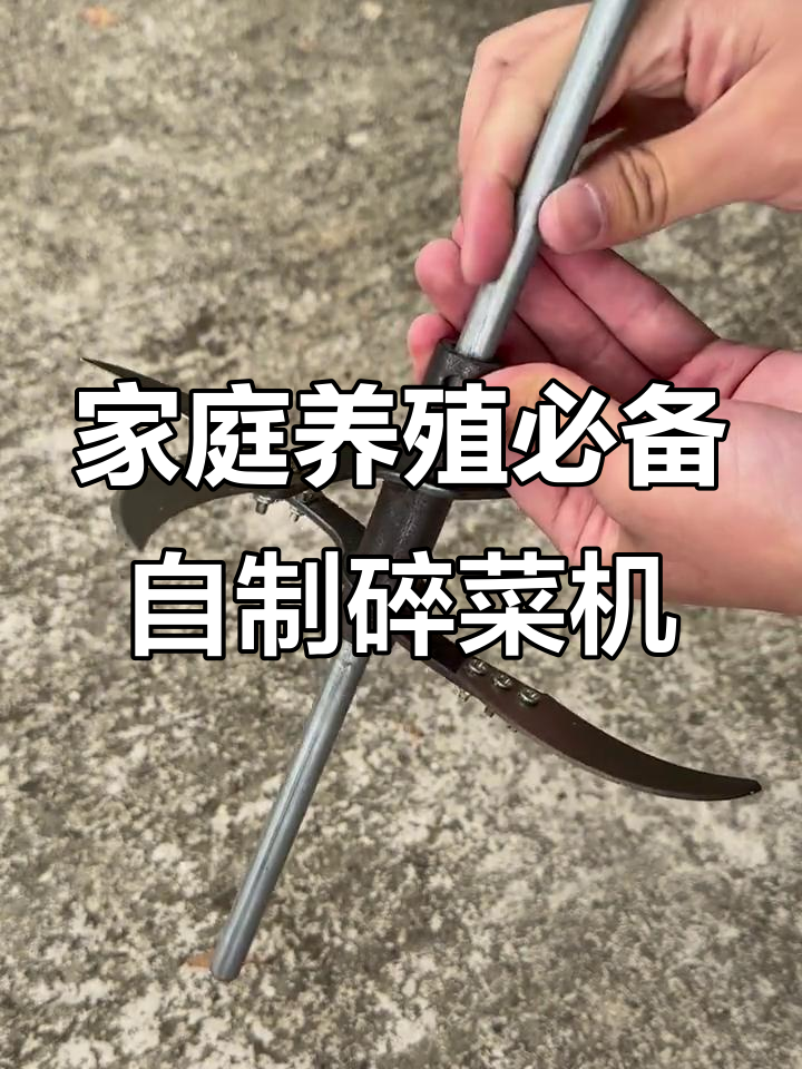 自制萝卜青菜粉碎机，轻松喂鸡鸭鹅