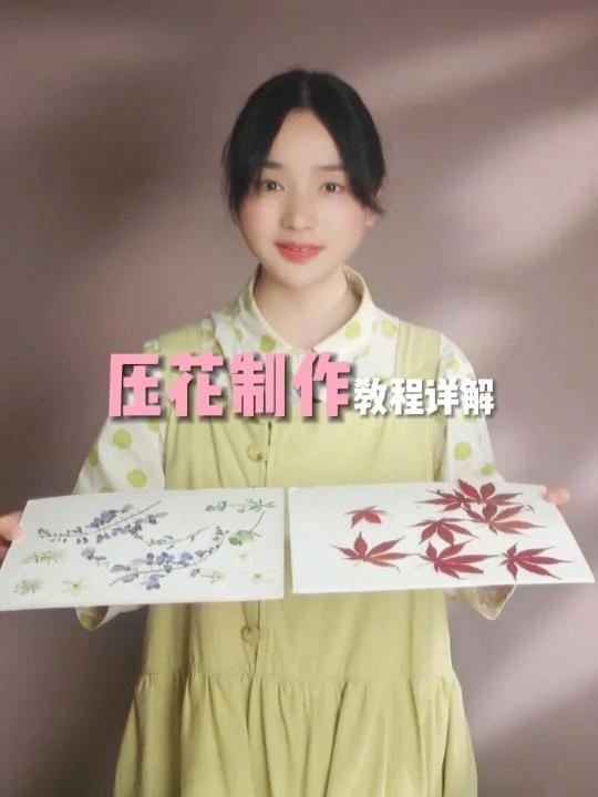 压花教程详解,从鲜花到压花手工的过程