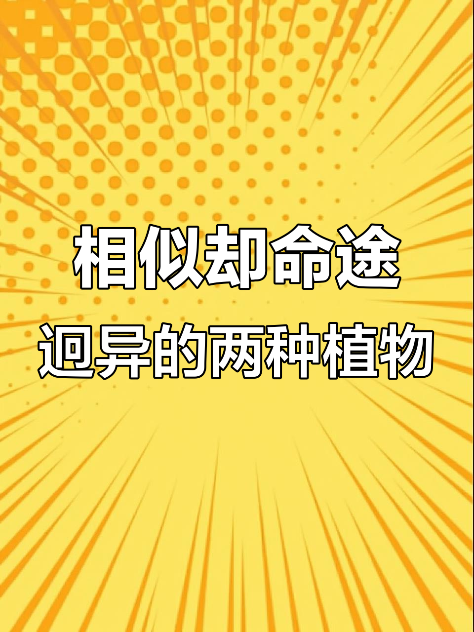 看似相似的植物,命运却大不同:一种成美食,另一种变杂草