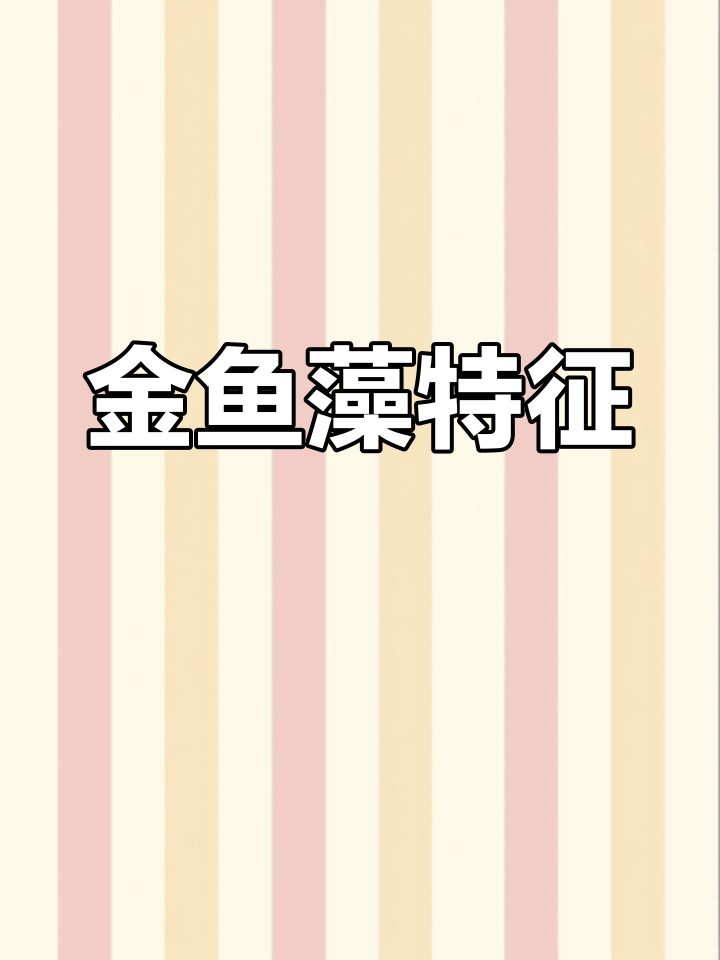 金鱼藻,沉水草本,绿色细长茎叶,花梗短小