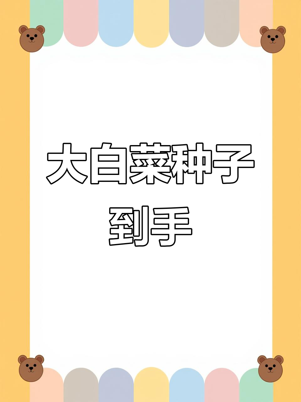 黄心大白菜种子已到货,种植计划启动!
