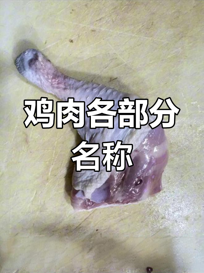 整鸡分割全解析,教你认清每个部位
