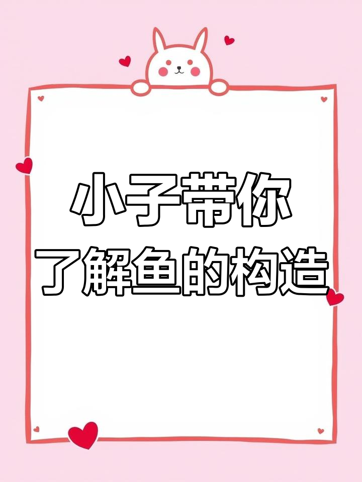 鲫鱼结构揭秘:从头部到侧线的全解析