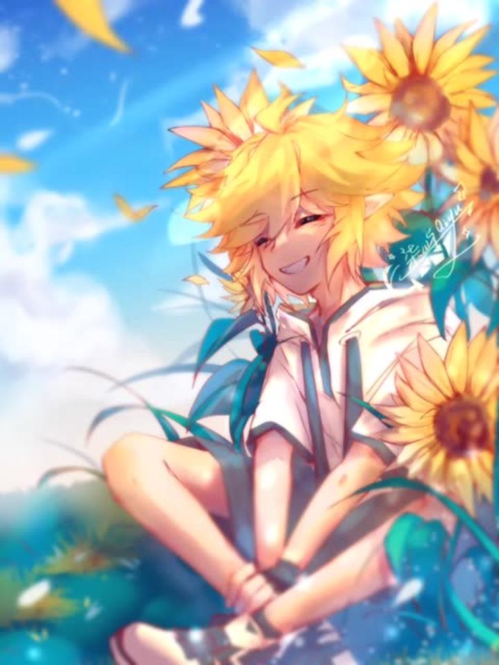 对不起!不画动漫《凹凸世界》里的金我就难受