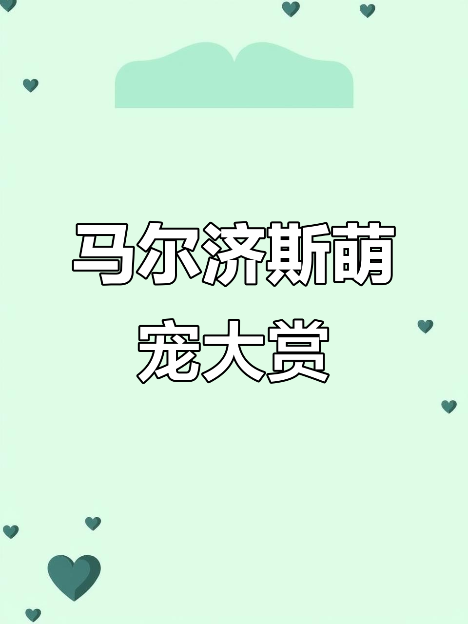 深山藏宠庄园,马尔济斯萌态百出
