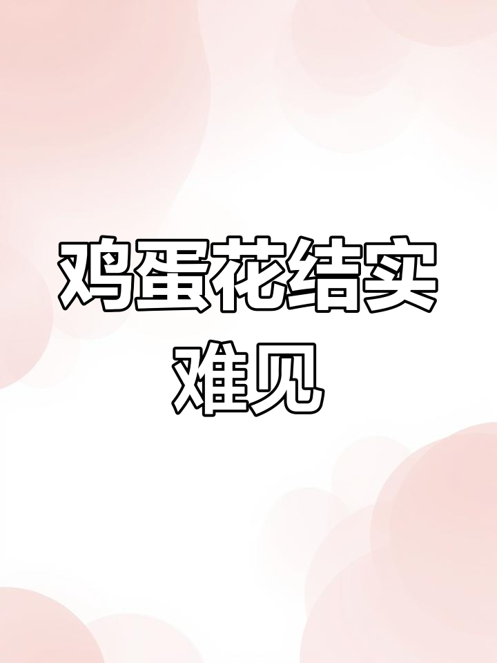 罕见鸡蛋花结果实,难得一见