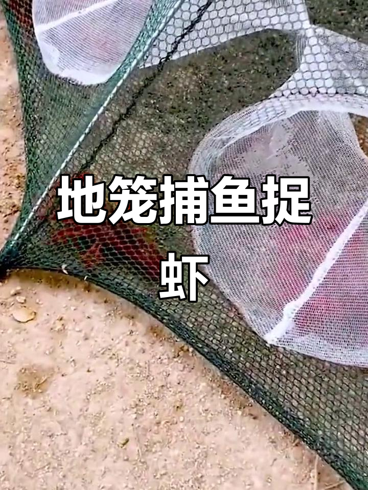 捕鱼捞虾大作战，地笼网一甩就能抓到大王八