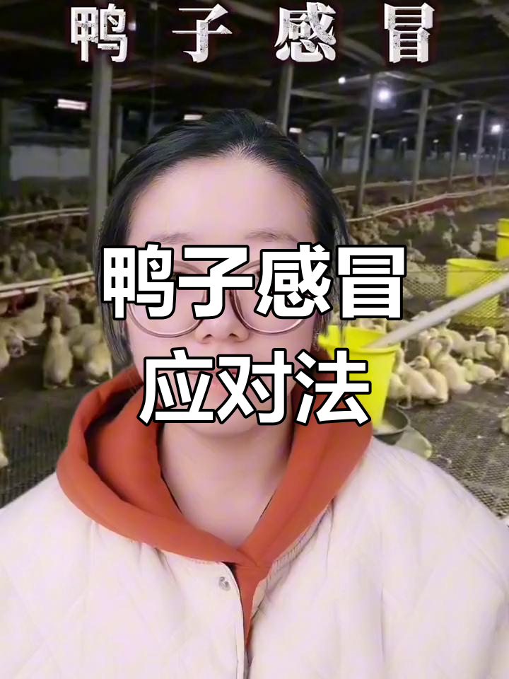鸭子感冒有哪些症状?发烧咳嗽流鼻涕怎么办?