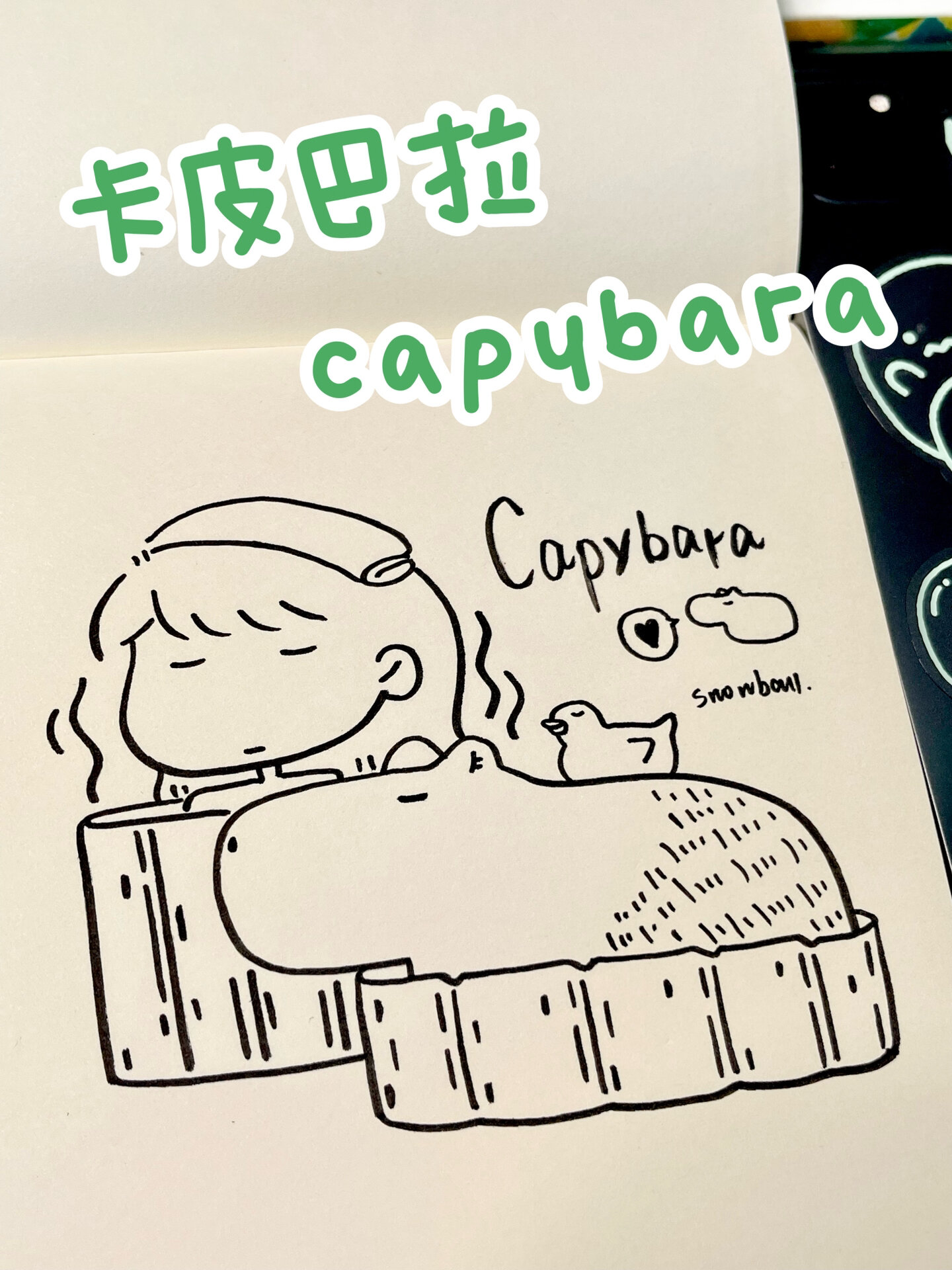 卡皮巴拉,你很有名画个capybara简笔画吧