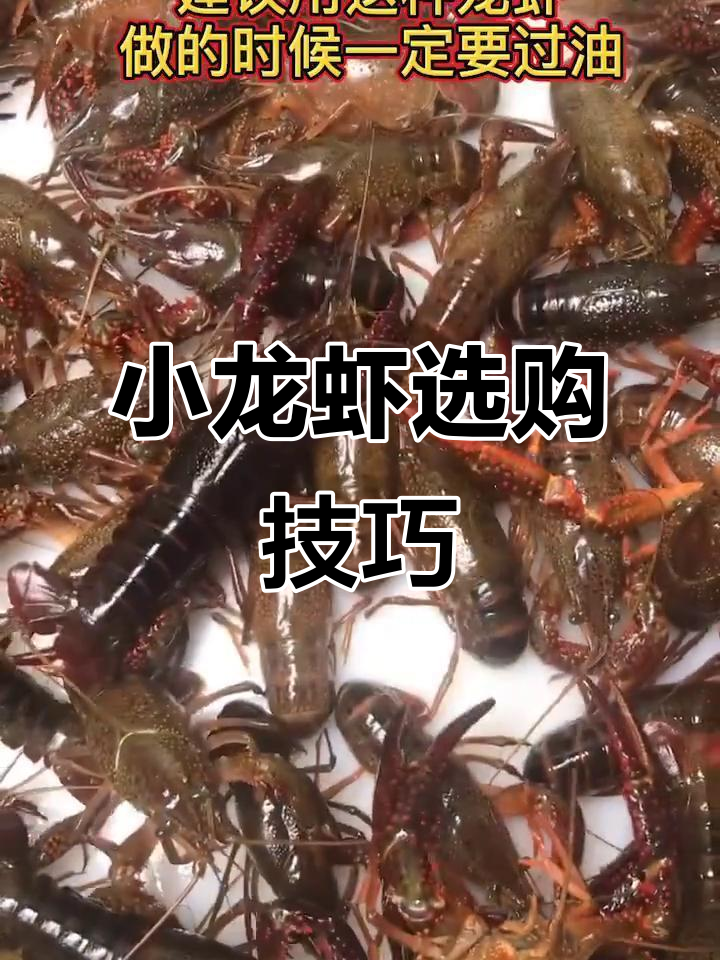 如何挑选小龙虾？教你避免踩雷，选对品种更美味