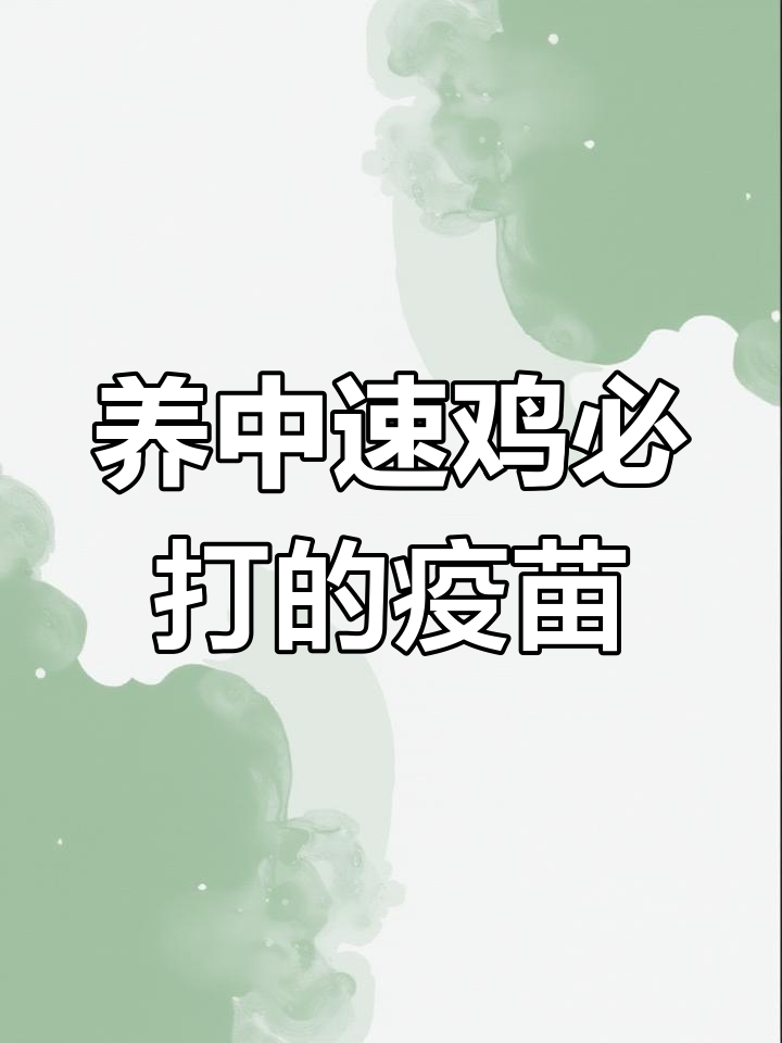中速鸡疫苗免疫全流程,这些疫苗必须打!