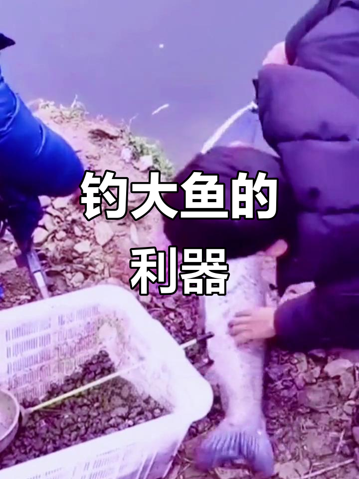 邓刚同款控鱼器，轻松称重30斤鲢鳙，钓鱼必备神器